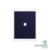 iPad Pro 12.9 inch 2015 bị treo táo