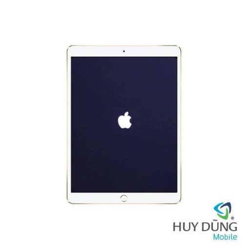 iPad Pro 12.9 inch 2015 bị treo táo